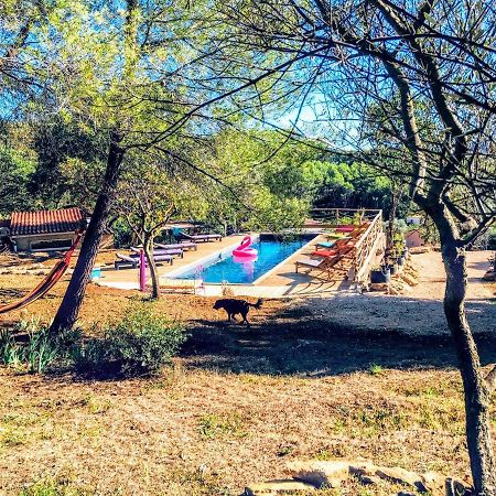 לה באסט Arche De Noe Atypique, Boheme , Nature, Piscine Chauffee De Paques A Toussaint , Spa , Sauna , Loisirs מראה חיצוני תמונה