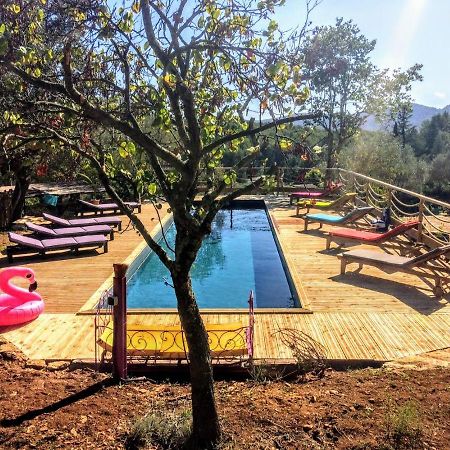 לה באסט Arche De Noe Atypique, Boheme , Nature, Piscine Chauffee De Paques A Toussaint , Spa , Sauna , Loisirs מראה חיצוני תמונה