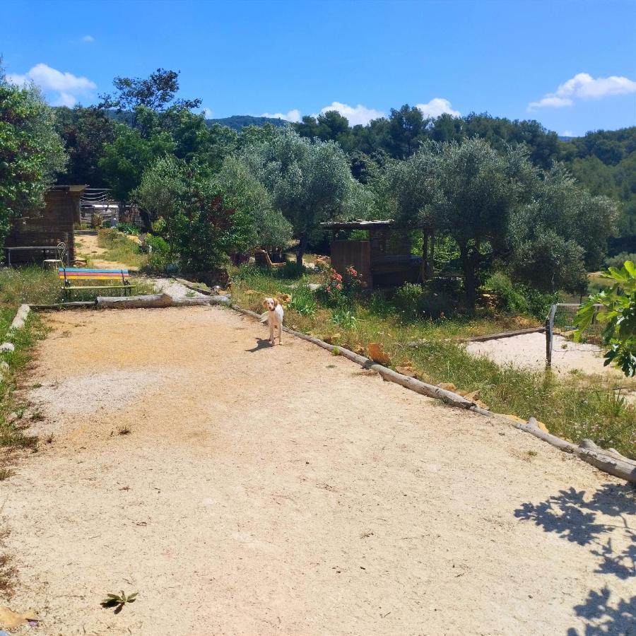 לה באסט Arche De Noe Atypique, Boheme , Nature, Piscine Chauffee De Paques A Toussaint , Spa , Sauna , Loisirs מראה חיצוני תמונה