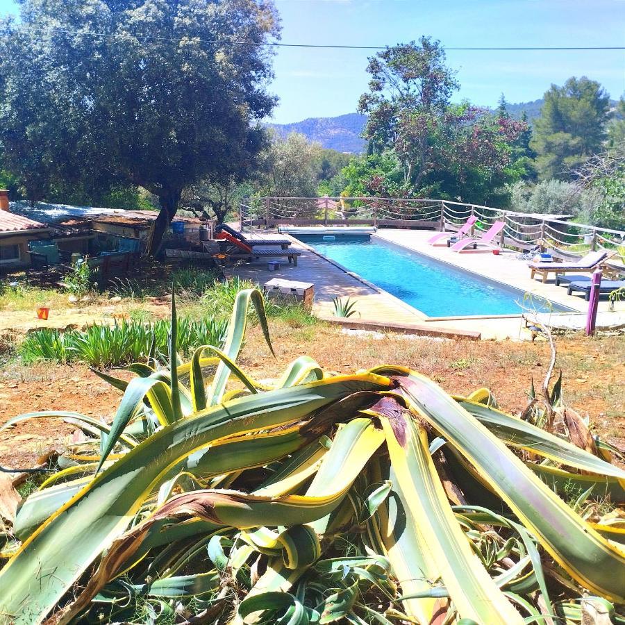 לה באסט Arche De Noe Atypique, Boheme , Nature, Piscine Chauffee De Paques A Toussaint , Spa , Sauna , Loisirs מראה חיצוני תמונה